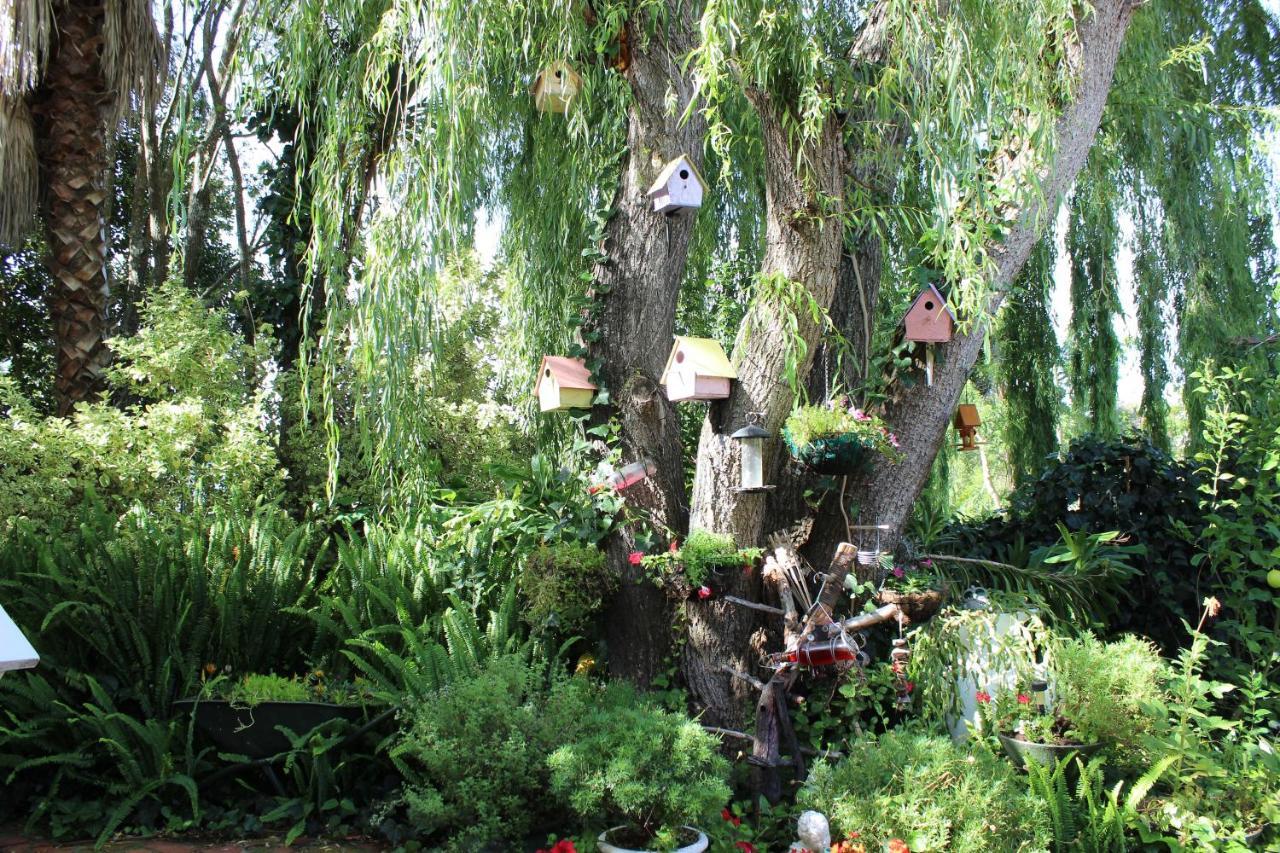 Aquaelberg Place Swellendam Zewnętrze zdjęcie